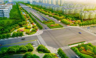 泰中路綠化及照明工程